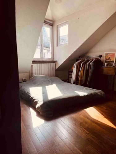 Parisian Flat under the Roofs