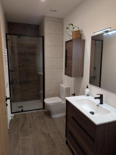 a bathroom with a toilet and a sink and a shower at Ca la Ministra in Amer