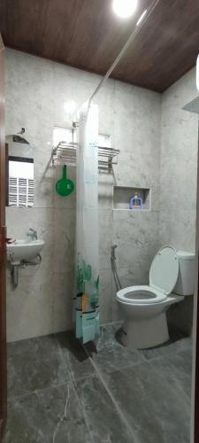 a bathroom with a toilet and a sink at Homestay Berlian T in Alastuwo