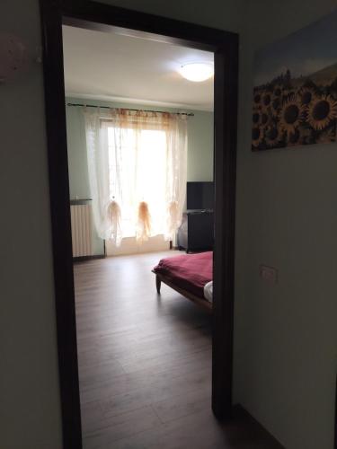 a mirror reflection of a bedroom with a dog in the window at Malpensa - Bilocale indipendente in Samarate