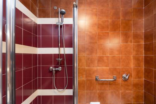 a bathroom with a shower with red tiles at Bormio's Balcony - At the Spa in Premadio