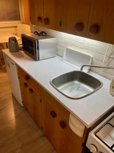 a kitchen with a sink and a microwave on a counter at Apartmán BlueA in Jihlava