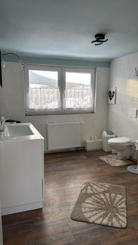 a bathroom with a sink and a toilet and two windows at FeWo ,Sonnenschein ,Sollstedt in Sollstedt