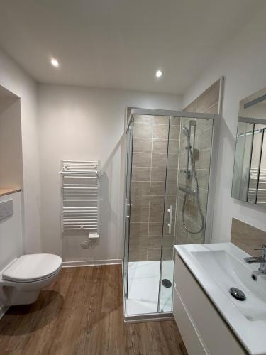 a bathroom with a shower and a toilet and a sink at Studio moderne tout confort in Vierzon