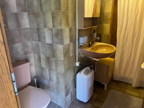 a bathroom with a sink and a toilet and a sink at Ferienwohnung Inauen in Appenzell