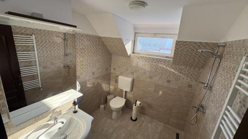 a bathroom with a sink and a shower and a toilet at My Central Home in Miercurea-Ciuc