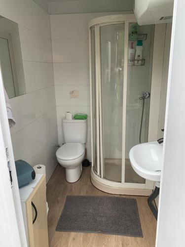 a bathroom with a shower and a toilet and a sink at Yurta cerca de Madrid in Madrid