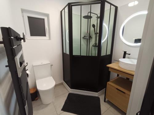 a bathroom with a shower and a toilet and a sink at Chez Mat's & Lou in Rocheville