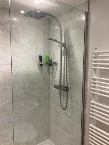 a shower in a bathroom with a glass shower stall at The Eliot Cottage in South Petherwin