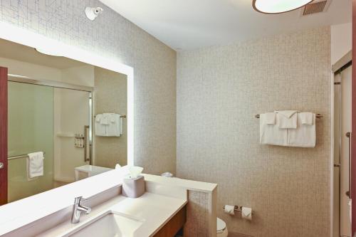 a bathroom with a sink and a mirror at Holiday Inn Express Houghton-Keweenaw by IHG in Houghton