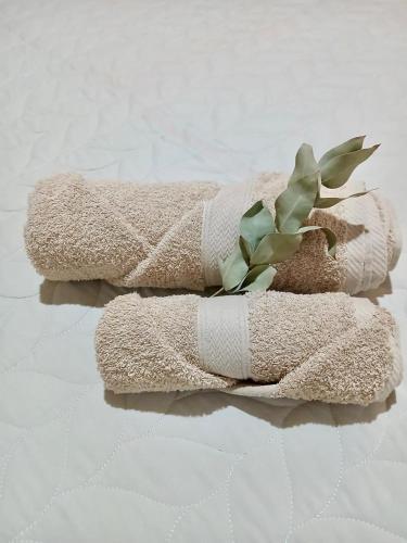 two towels with a plant on top of them at Casa Josefa Cafayate in Cafayate