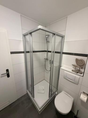 a bathroom with a glass shower with a toilet at Störtebekers Kuschelnest -265 in Sagard