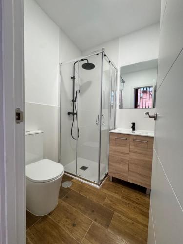 a bathroom with a shower and a toilet and a sink at Apartamentos Melisa - Madrid in Madrid