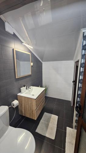 a bathroom with a sink and a toilet at Къща за гости Ореха in Apriltsi