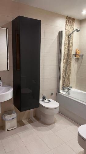 a bathroom with a toilet and a shower and a sink at Acogedor piso céntrico in Lugo