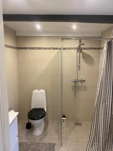 a bathroom with a toilet and a glass shower at House overlooking the countryside and close to the city in Middelfart