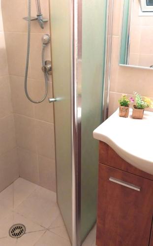 a bathroom with a shower and a sink at גאון מול המדבר in Arad