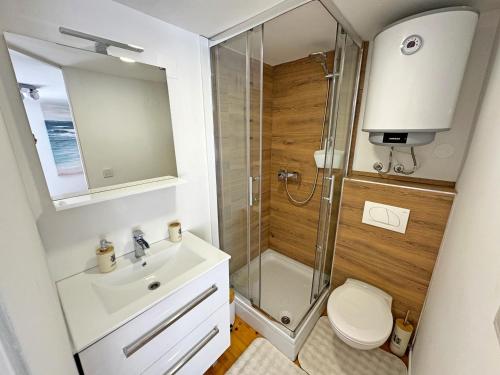 a bathroom with a shower and a toilet and a sink at Casa di Pag by Pag tours in Pag