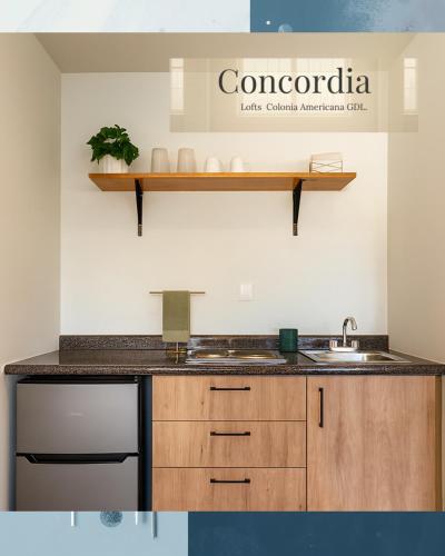 a kitchen with a sink and a counter top at Concordia Lofts colonia americana Guadalajara in Guadalajara