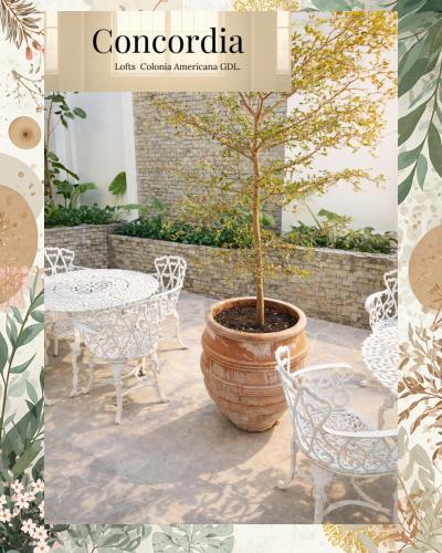 a magazine cover of a patio with a table and a tree at Concordia Lofts colonia americana Guadalajara in Guadalajara