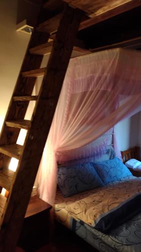 a bedroom with a bunk bed with a ladder at 彼岸古厝民宿-包棟優先--Biiann B&B in Jinning