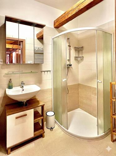 a bathroom with a shower and a sink at Apartmán Jizerské údolí in Kořenov