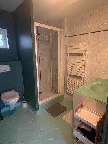 a bathroom with a shower and a sink and a toilet at Jardin des prés in Le Thil-en-Vexin