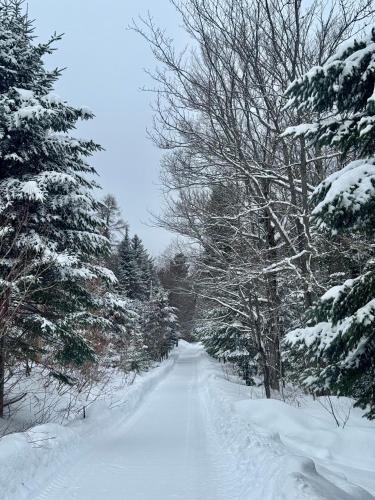 a snow covered road with trees on it at Chalet Le Crépuscule SPA, BILLARD, FOYER, SENTIERS PRIVES in Chertsey