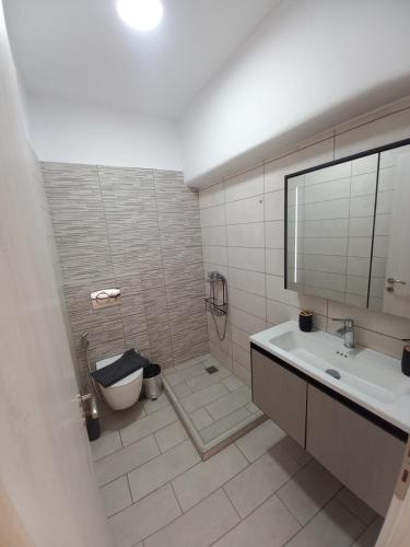 a bathroom with a sink and a shower and a toilet at Velania House 1 in Filótion