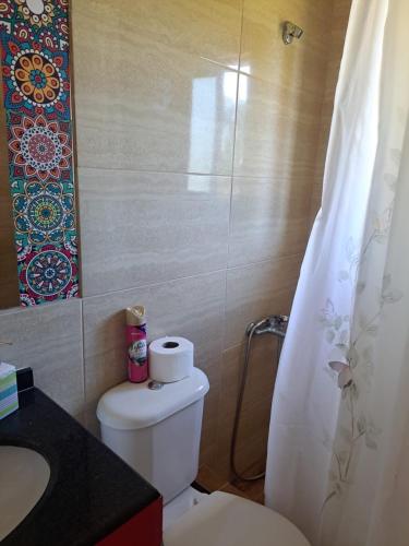 a bathroom with a toilet and a sink and a shower at Puyehue in Mantilhue