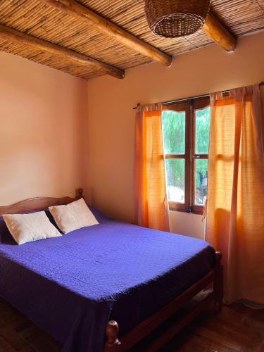 a bedroom with a blue bed and a window at Casa Mamani in Tilcara