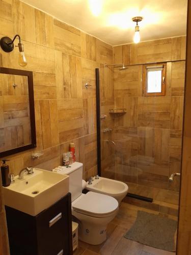 a bathroom with a toilet and a sink and a shower at Cabaña Cholito in Lago Puelo