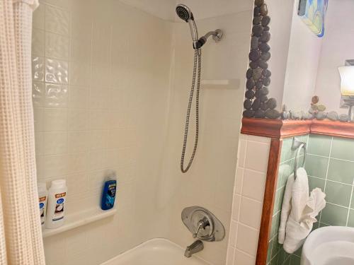 a bathroom with a shower and a tub and a sink at Cozy Farm House with River access in Three Rivers