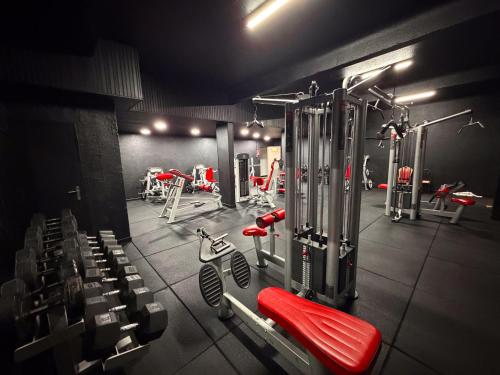 Fitnesscentret og/eller fitnessfaciliteterne på Brit Hotel Confort Gien
