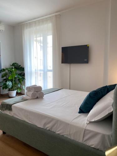 Studio Suite 11
