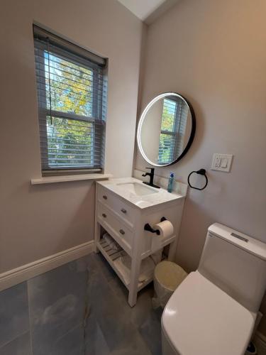 a bathroom with a sink and a mirror and a toilet at Spacious private room in a new house with private bathroom close to center city in Philadelphia