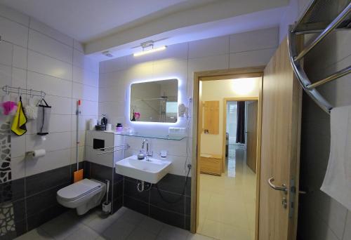 a bathroom with a sink and a toilet at APARTMÁNY I&V - Adults Only in Pilsen