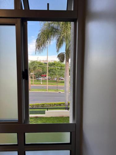 a view of a palm tree from a window at Studio no Sudoeste, vista da 1ª Avenida, tudo a pé in Brasília