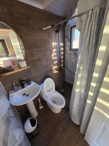 a bathroom with a white toilet and a sink at Refugio Titi3 in Coronel