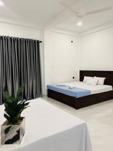 a bedroom with a bed and a plant in it at Blue Cinnamon Cove in Kosgoda