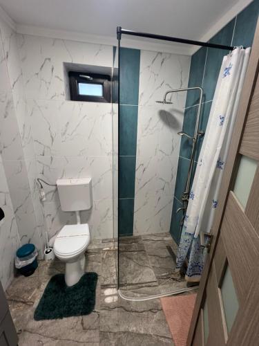 a bathroom with a toilet and a shower at Everest 33 Ap 1 in Bucharest