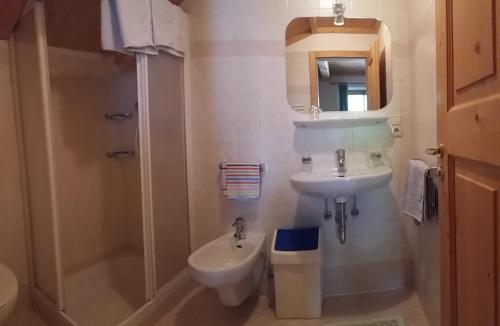 a bathroom with a sink and a toilet and a shower at Verleierhof in Castelrotto