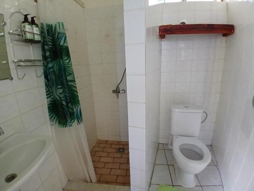 a bathroom with a toilet and a bath tub at Hiva Oa Villa Lodge in Hiva Oa