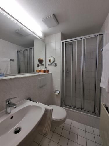 a bathroom with a sink and a toilet and a shower at Hotel Park Eckersbach in Zwickau