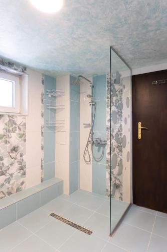 a bathroom with a shower with a glass door at The Bird Villa in Bosnek
