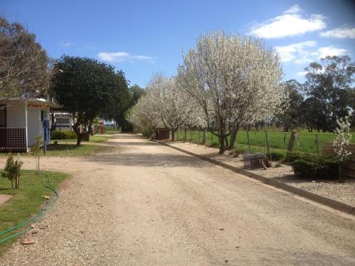 Κήπος έξω από το Nagambie Caravan Park & Motel