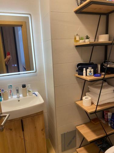 a bathroom with a sink and a mirror and towels at Privatni apartman A15 Vučko Aparthotel in Jahorina