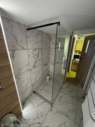 a shower with a glass door in a bathroom at Apartamenty Willa NaSkarpie Jacuzzi Sauna Basen in Wisła