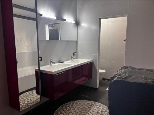 a bathroom with a sink and a toilet and a mirror at Stylish Loft with Industrial Charm in Kortenberg