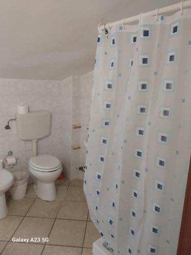 a bathroom with a toilet and a shower curtain at La corte dei celti 9 in Quinzano